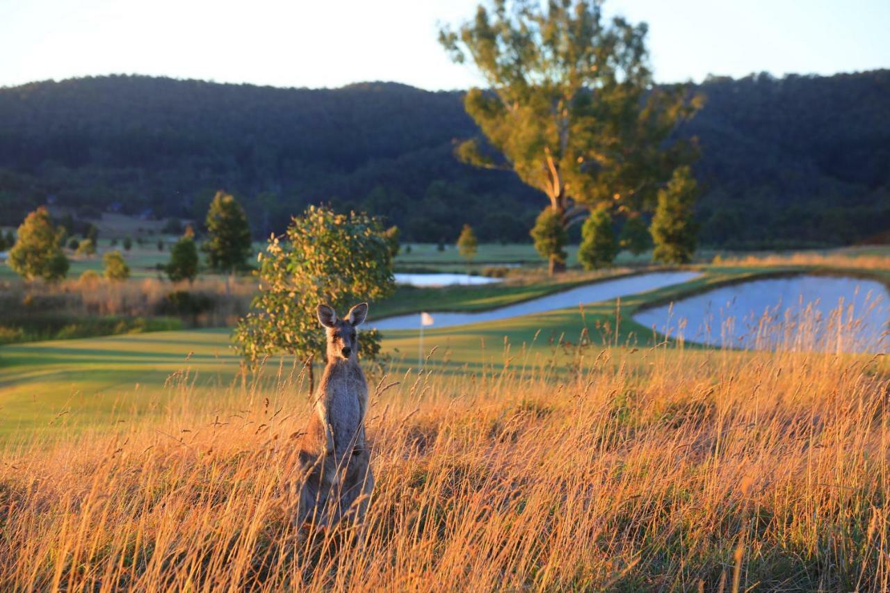 Chateau Yering Yarra Glen Exterior foto